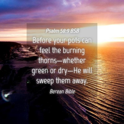 Picture 04 - Psalm 58:9 BSB - Before your pots can feel the burning - Bible Verse Picture