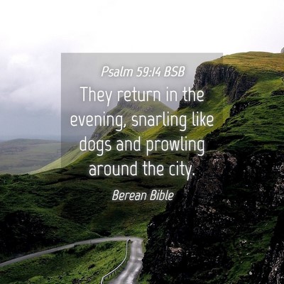 Picture 04 - Psalm 59:14 BSB - They return in the evening, snarling like dogs - Bible Verse Picture