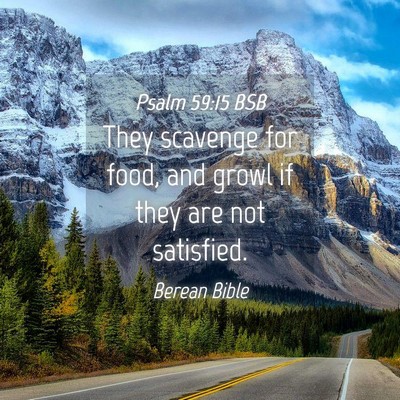 Picture 04 - Psalm 59:15 BSB - They scavenge for food, and growl if they are not - Bible Verse Picture