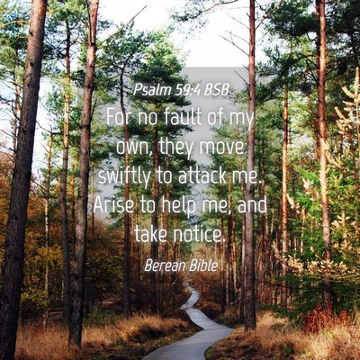 Picture 04 - Psalm 59:4 BSB - For no fault of my own, they move swiftly to - Bible Verse Picture