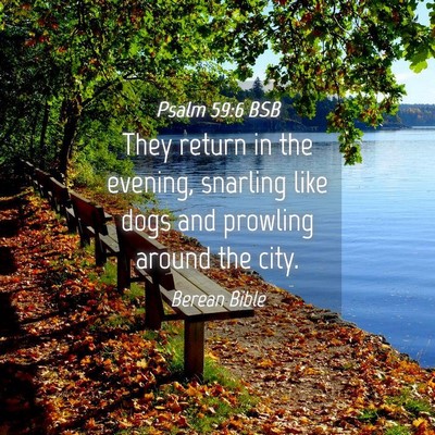 Picture 04 - Psalm 59:6 BSB - They return in the evening, snarling like dogs - Bible Verse Picture