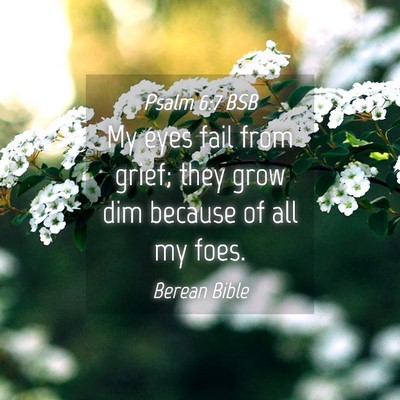 Picture 04 - Psalm 6:7 BSB - My eyes fail from grief; they grow dim because of - Bible Verse Picture