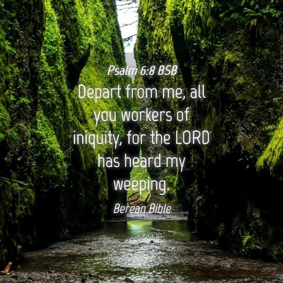 Picture 04 - Psalm 6:8 BSB - Depart from me, all you workers of iniquity, for - Bible Verse Picture