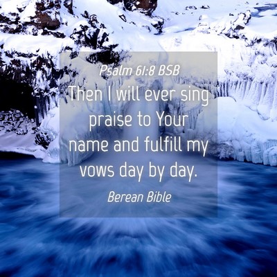 Picture 04 - Psalm 61:8 BSB - Then I will ever sing praise to Your name and - Bible Verse Picture