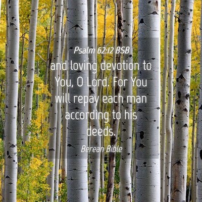 Picture 04 - Psalm 62:12 BSB - and loving devotion to You, O Lord. For You will - Bible Verse Picture