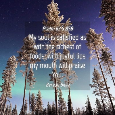 Picture 04 - Psalm 63:5 BSB - My soul is satisfied as with the richest of - Bible Verse Picture