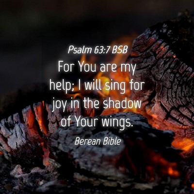 Picture 04 - Psalm 63:7 BSB - For You are my help; I will sing for joy in the - Bible Verse Picture