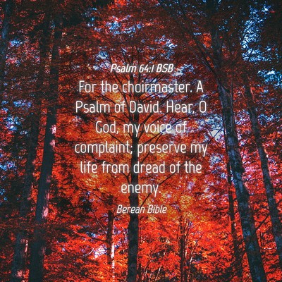 Picture 04 - Psalm 64:1 BSB - For the choirmaster. A Psalm of David. Hear, O - Bible Verse Picture