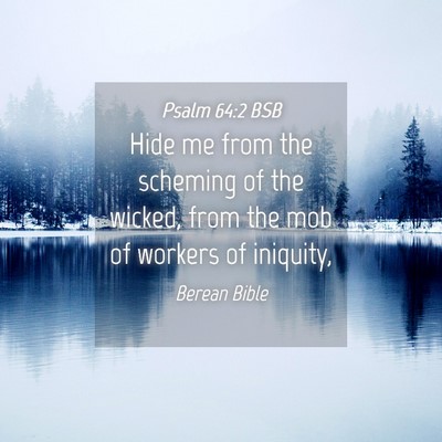 Picture 04 - Psalm 64:2 BSB - Hide me from the scheming of the wicked, from the - Bible Verse Picture