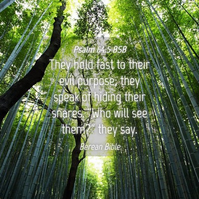 Picture 04 - Psalm 64:5 BSB - They hold fast to their evil purpose; they speak - Bible Verse Picture