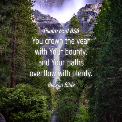 Picture 04 - Psalm 65:11 BSB - You crown the year with Your bounty, and Your - Bible Verse Picture