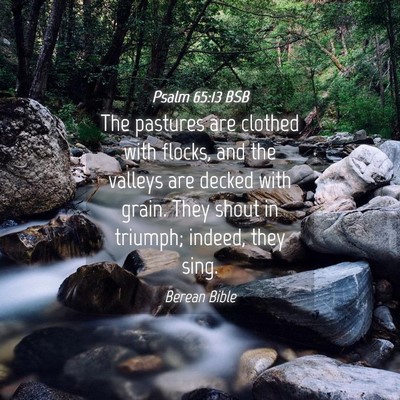 Picture 04 - Psalm 65:13 BSB - The pastures are clothed with flocks, and the - Bible Verse Picture