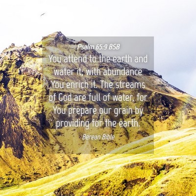 Picture 04 - Psalm 65:9 BSB - You attend to the earth and water it; with - Bible Verse Picture