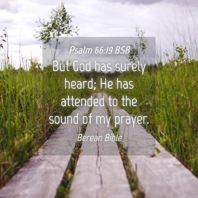 Picture 04 - Psalm 66:19 BSB - But God has surely heard; He has attended to the - Bible Verse Picture
