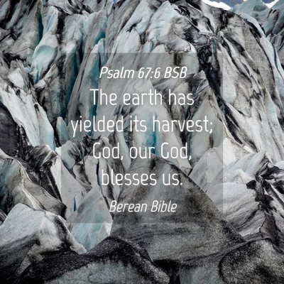 Picture 04 - Psalm 67:6 BSB - The earth has yielded its harvest; God, our God, - Bible Verse Picture