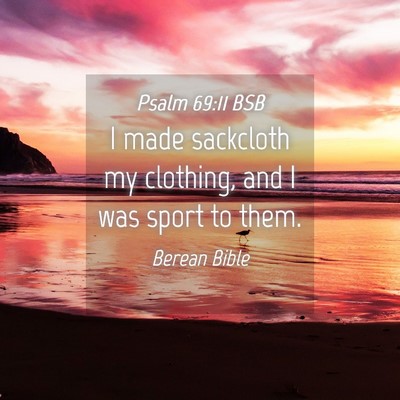 Picture 04 - Psalm 69:11 BSB - I made sackcloth my clothing, and I was sport to - Bible Verse Picture