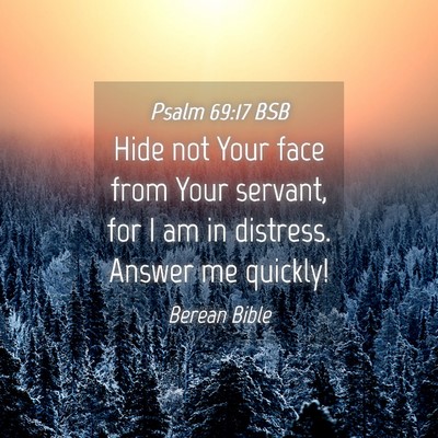 Picture 04 - Psalm 69:17 BSB - Hide not Your face from Your servant, for I am in - Bible Verse Picture