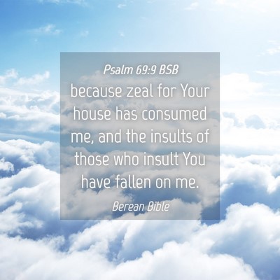 Picture 04 - Psalm 69:9 BSB - because zeal for Your house has consumed me, and - Bible Verse Picture