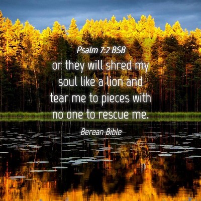 Picture 04 - Psalm 7:2 BSB - or they will shred my soul like a lion and tear - Bible Verse Picture