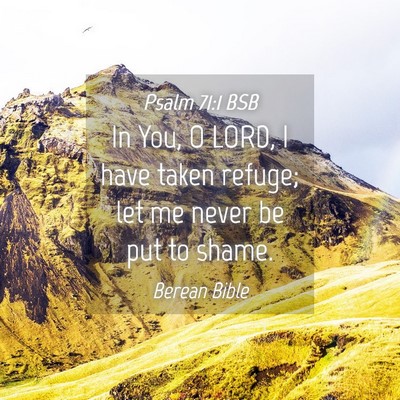Picture 04 - Psalm 71:1 BSB - In You, O LORD, I have taken refuge; let me never - Bible Verse Picture