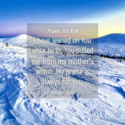 Picture 04 - Psalm 71:6 BSB - I have leaned on You since birth; You pulled me - Bible Verse Picture