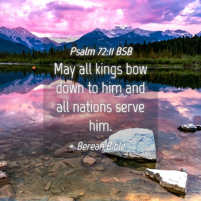Picture 04 - Psalm 72:11 BSB - May all kings bow down to him and all nations - Bible Verse Picture