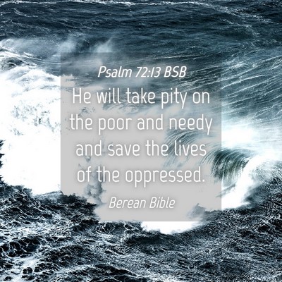 Picture 04 - Psalm 72:13 BSB - He will take pity on the poor and needy and save - Bible Verse Picture