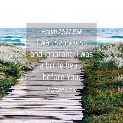 Picture 04 - Psalm 73:22 BSB - I was senseless and ignorant; I was a brute beast - Bible Verse Picture