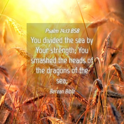 Picture 04 - Psalm 74:13 BSB - You divided the sea by Your strength; You smashed - Bible Verse Picture