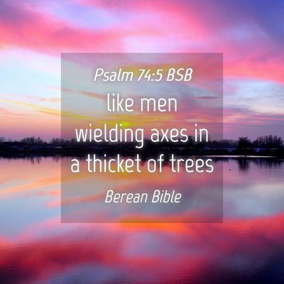 Picture 04 - Psalm 74:5 BSB - like men wielding axes in a thicket of - Bible Verse Picture