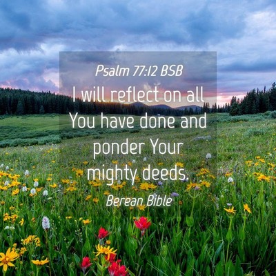 Picture 04 - Psalm 77:12 BSB - I will reflect on all You have done and ponder - Bible Verse Picture
