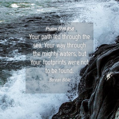 Picture 04 - Psalm 77:19 BSB - Your path led through the sea, Your way through - Bible Verse Picture