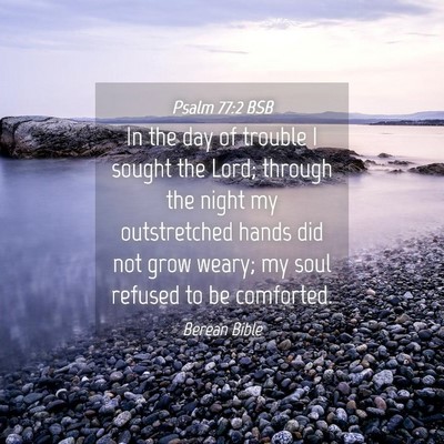 Picture 04 - Psalm 77:2 BSB - In the day of trouble I sought the Lord; through - Bible Verse Picture