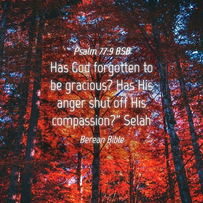 Picture 04 - Psalm 77:9 BSB - Has God forgotten to be gracious? Has His anger - Bible Verse Picture