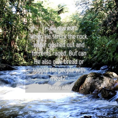 Picture 04 - Psalm 78:20 BSB - When He struck the rock, water gushed out and - Bible Verse Picture