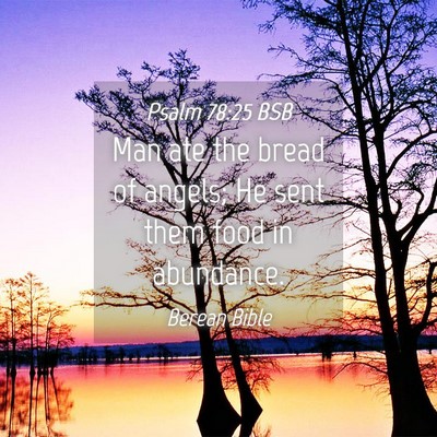 Picture 04 - Psalm 78:25 BSB - Man ate the bread of angels; He sent them food in - Bible Verse Picture