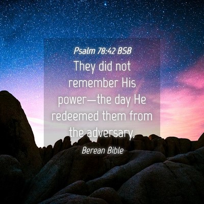 Picture 04 - Psalm 78:42 BSB - They did not remember His power—the day He - Bible Verse Picture