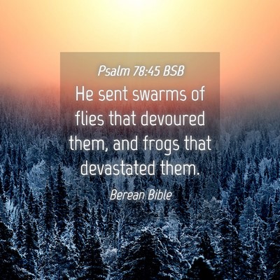 Picture 04 - Psalm 78:45 BSB - He sent swarms of flies that devoured them, and - Bible Verse Picture