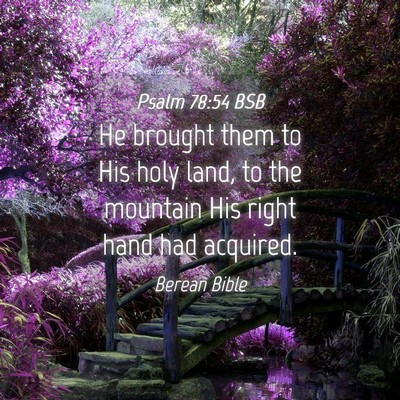 Picture 04 - Psalm 78:54 BSB - He brought them to His holy land, to the mountain - Bible Verse Picture