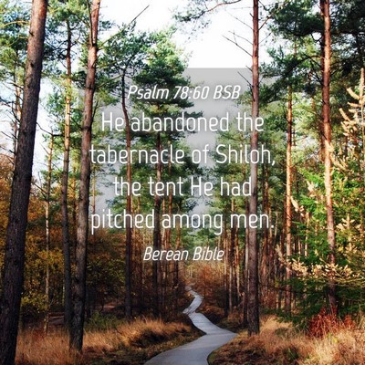 Picture 04 - Psalm 78:60 BSB - He abandoned the tabernacle of Shiloh, the tent - Bible Verse Picture
