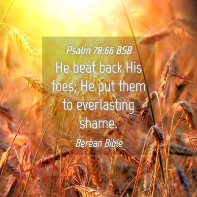 Picture 04 - Psalm 78:66 BSB - He beat back His foes; He put them to everlasting - Bible Verse Picture