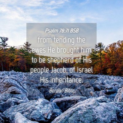 Picture 04 - Psalm 78:71 BSB - from tending the ewes He brought him to be - Bible Verse Picture