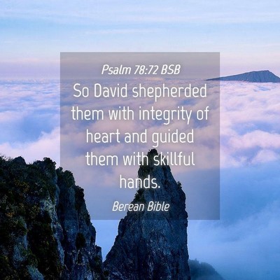 Picture 04 - Psalm 78:72 BSB - So David shepherded them with integrity of heart - Bible Verse Picture