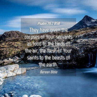 Picture 04 - Psalm 79:2 BSB - They have given the corpses of Your servants as - Bible Verse Picture