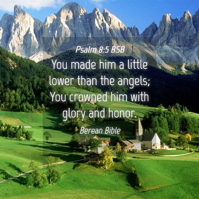 Picture 04 - Psalm 8:5 BSB - You made him a little lower than the angels; You - Bible Verse Picture