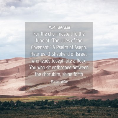 Picture 04 - Psalm 80:1 BSB - For the choirmaster. To the tune of “The Lilies - Bible Verse Picture
