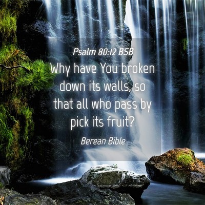 Picture 04 - Psalm 80:12 BSB - Why have You broken down its walls, so that all - Bible Verse Picture