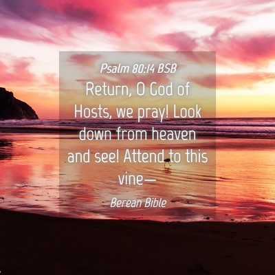 Picture 04 - Psalm 80:14 BSB - Return, O God of Hosts, we pray! Look down from - Bible Verse Picture