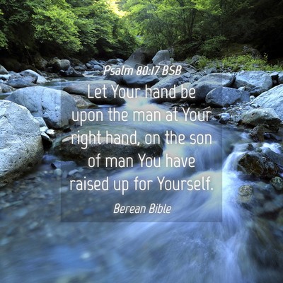 Picture 04 - Psalm 80:17 BSB - Let Your hand be upon the man at Your right hand, - Bible Verse Picture