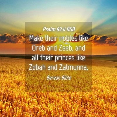 Picture 04 - Psalm 83:11 BSB - Make their nobles like Oreb and Zeeb, and all - Bible Verse Picture